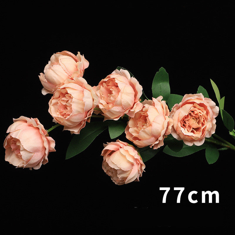 552666ca65fe05651b6020278231861d