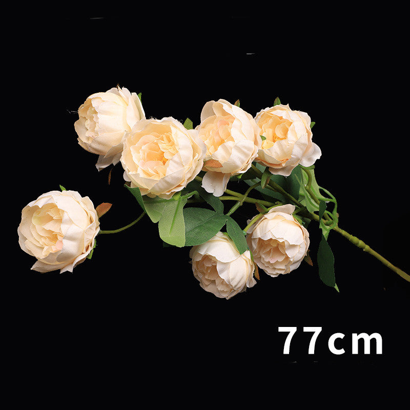 1e2a46ad612e4c3cd55c81bbf36ad72b