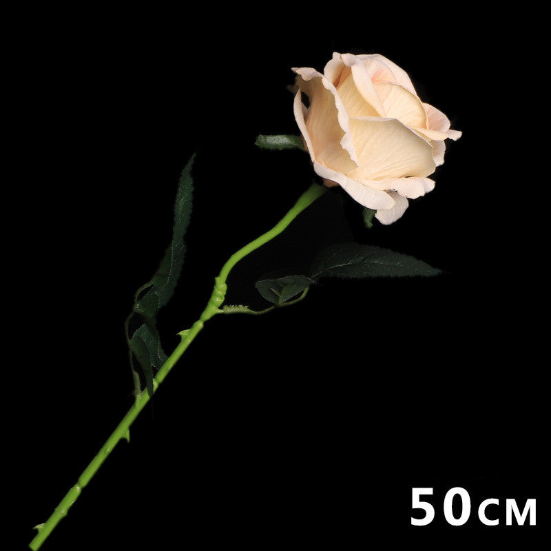 aa6f46e1ce2c8857698fa2207665c51e