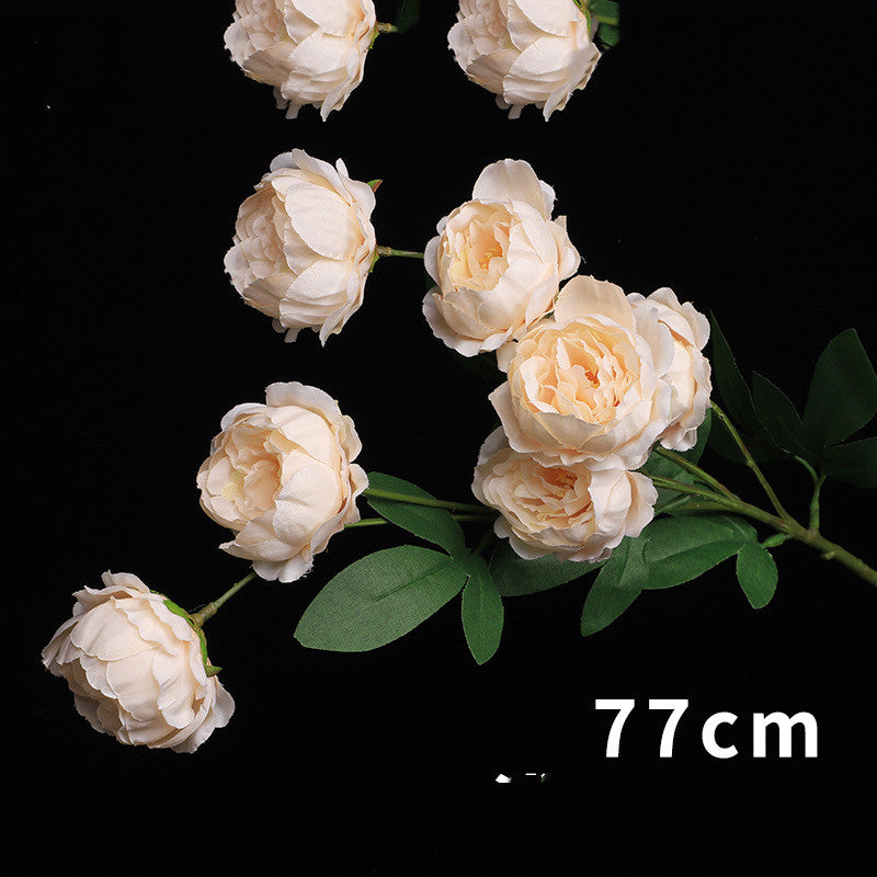 ab6fe663fd4814b0cf750ea4ad4092b0