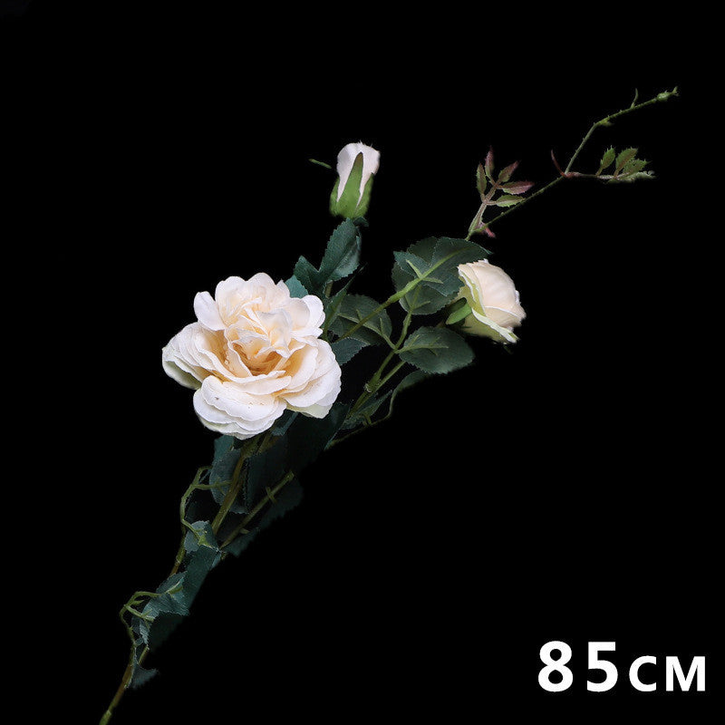 57563d01ae0a4aa86004fde9a75e04dd